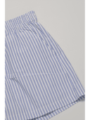 Pinstripe Shorts __02