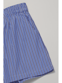 Pinstripe Shorts __01