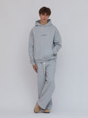 michigan script hoodie sport gray one dna